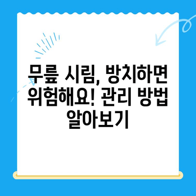 무릎 시림| 원인과 관리 방법 | 통증 완화 위한 5가지 단계