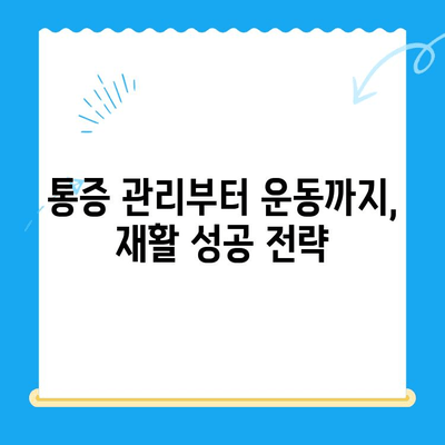 무릎 반월상 연골 파열 완벽 가이드| 증상, 치료, 수술 후 재활까지 | 통증, 회복, 운동, 재활