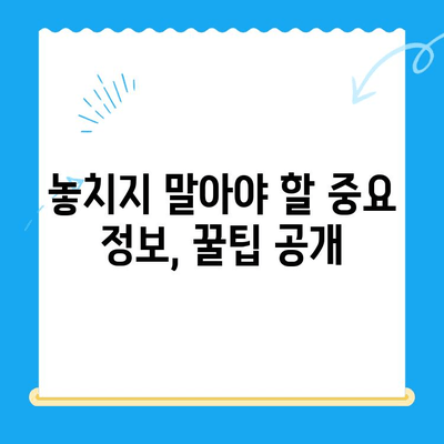 자동차 채권 미환급금, 내 돈 찾는 방법 | 조회, 확인, 환급 절차 완벽 가이드