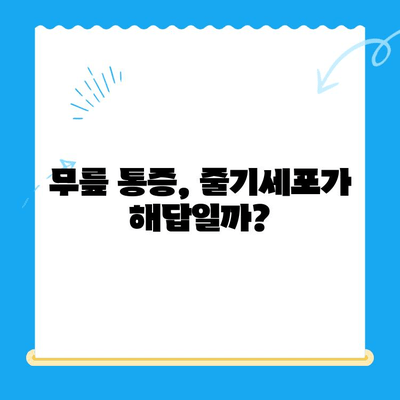 무릎 통증 악화, 줄기세포 치료로 막을 수 있을까? | 무릎 통증, 줄기세포, 재생 치료, 관절염