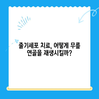 무릎 통증 악화, 줄기세포 치료로 막을 수 있을까? | 무릎 통증, 줄기세포, 재생 치료, 관절염