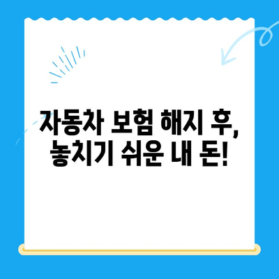 자동차 채권 미환급금, 내 돈 찾기| 간편 조회 방법 가이드 | 미환급금, 조회, 자동차, 보험