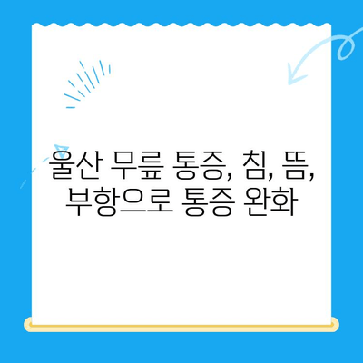 울산 무릎 통증, 한의원 재활로 극복하세요! | 울산 한의원 추천, 무릎 통증 완화, 재활 치료