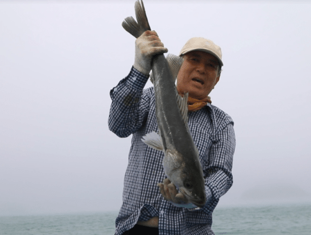 한국기행 신의도 천일염