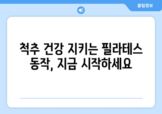 필라테스로 척추 정렬, 바른 자세 되찾기| 올바른 자세 교정을 위한 필라테스 운동 | 자세 교정, 척추 건강, 필라테스 동작