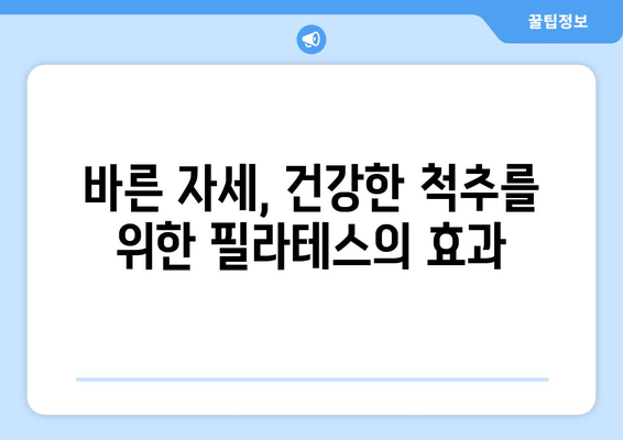 대치동 필라테스로 척추 교정 & 혈액 순환 개선 효과 UP! | 자세 교정, 통증 완화, 건강 관리