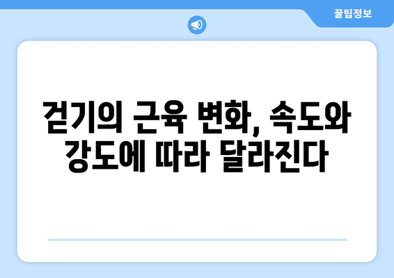 걷기만 해도 근육이 줄어든다고? 근 손실 vs 근육 발달, 걷기의 비밀 | 운동, 근육, 걷기, 건강