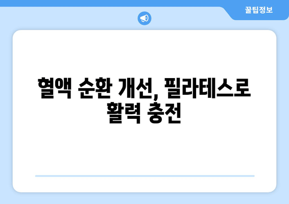 대치동 필라테스로 척추 교정 & 혈액 순환 개선 효과 UP! | 자세 교정, 통증 완화, 건강 관리