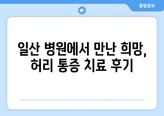 일산 허리통증, 자세교정과 재활 후기|  나의 솔직한 경험 공유 | 허리 통증, 자세 교정, 재활 치료, 일산 병원 후기