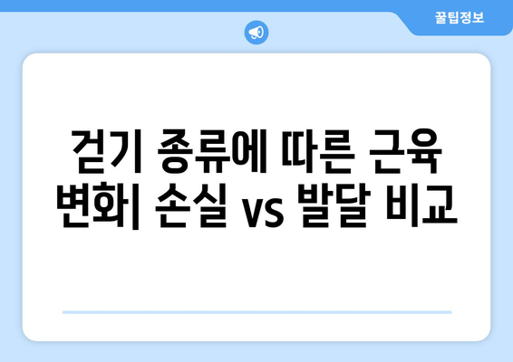 걷기 종류| 근 손실 vs 근육 발달 | 운동 효과 비교 가이드