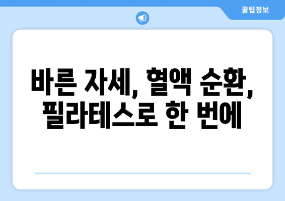 자세 교정과 혈액 순환 개선, 대치동 필라테스| 당신의 건강을 위한 맞춤 운동 | 필라테스, 자세 교정, 혈액 순환, 대치동