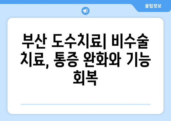 부산 도수치료| 틀어진 척추와 골반, 효과적인 교정으로 건강 되찾기 | 척추측만증, 허리 통증, 골반 불균형, 비수술 치료