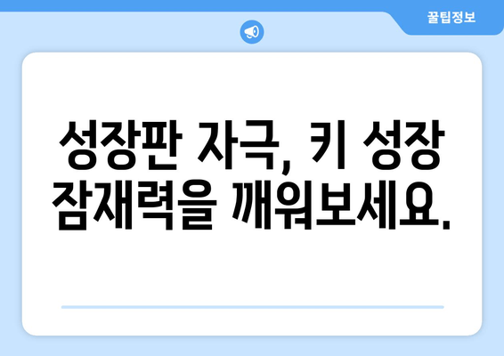 목동 어린이 자세 교정 및 키 성장 관리 전문센터 | 성장판 자극, 바른 자세, 키 성장, 목동