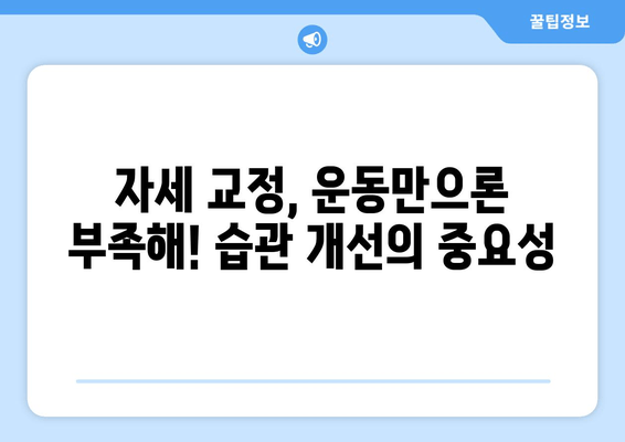 자세 교정, 3가지 방법 비교분석 | 최고의 선택은? | 자세 교정 운동, 자세 교정 의자, 자세 교정 습관