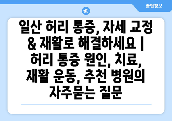 일산 허리 통증, 자세 교정 & 재활로 해결하세요 | 허리 통증 원인, 치료, 재활 운동, 추천 병원