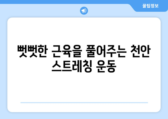천안 스트레칭| 통증 완화와 자세 교정 | 천안, 통증, 자세, 운동, 척추, 근육, 건강