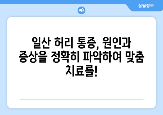 일산 허리통증, 자세 교정과 재활로 다시 건강하게! | 허리 통증, 자세 교정, 재활 치료, 일산 병원