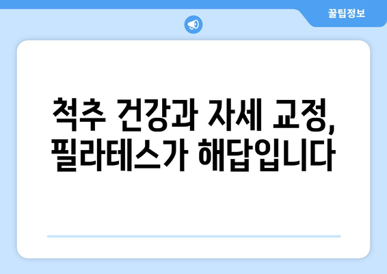 충무공동 자세 교정의 혁신| 효과적인 필라테스 그룹 레슨 | 필라테스, 자세 개선, 그룹 운동, 충무공동