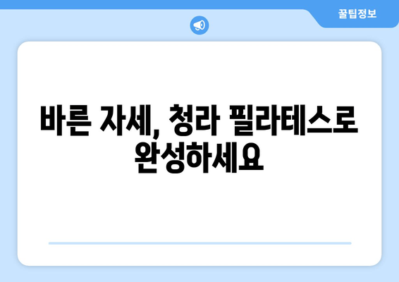 청라 필라테스로 바른 자세 만들기| 나에게 맞는 필라테스 선택 가이드 | 자세 교정, 체형 개선, 통증 완화, 운동 팁