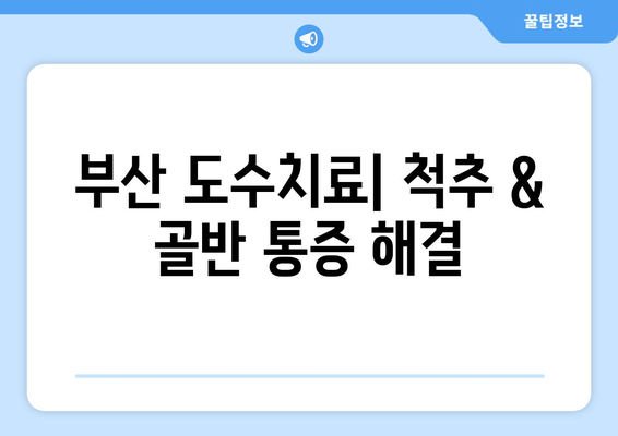 부산 도수치료| 잘못된 자세로 인한 척추, 골반 통증 해결 | 척추 교정, 자세 개선, 통증 완화, 추천 병원