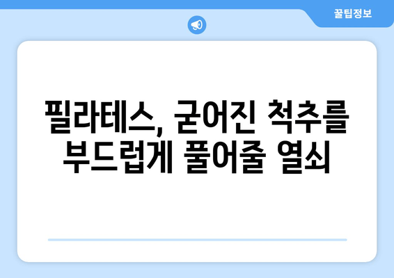 필라테스로 굳어진 자세 교정하기| 효과적인 동작 & 루틴 | 자세 개선, 필라테스 운동, 척추 건강