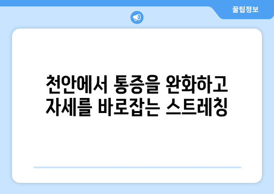 천안 스트레칭| 통증 완화와 자세 교정 | 천안, 통증, 자세, 운동, 척추, 근육, 건강