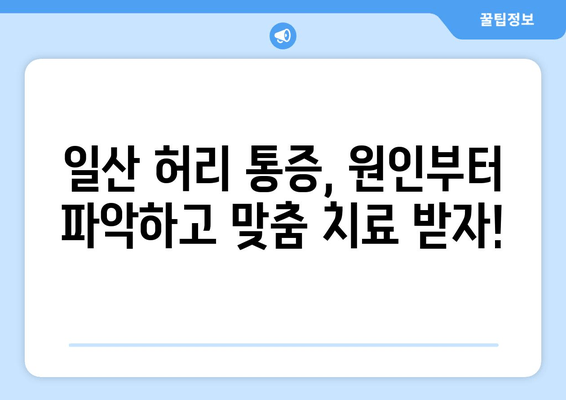 일산 허리 통증, 자세 교정 & 재활로 해결하세요 | 허리 통증 원인, 치료, 재활 운동, 추천 병원