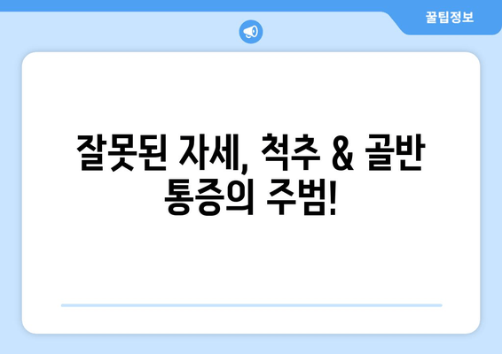 부산 도수치료| 잘못된 자세로 인한 척추, 골반 통증 해결 | 척추 교정, 자세 개선, 통증 완화, 추천 병원