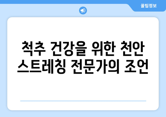천안 스트레칭| 통증 완화와 자세 교정 | 천안, 통증, 자세, 운동, 척추, 근육, 건강