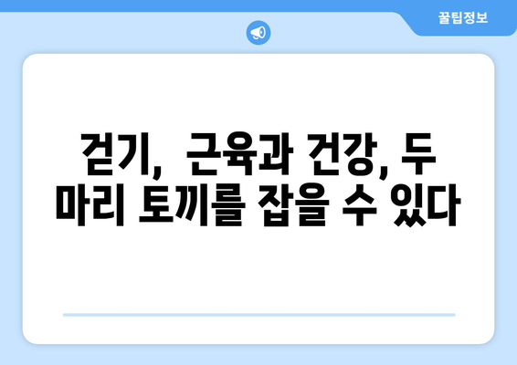 걷기만 해도 근육이 줄어든다고? 근 손실 vs 근육 발달, 걷기의 비밀 | 운동, 근육, 걷기, 건강