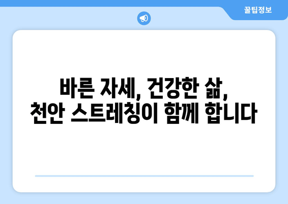 천안 스트레칭| 통증 완화와 자세 교정 | 천안, 통증, 자세, 운동, 척추, 근육, 건강