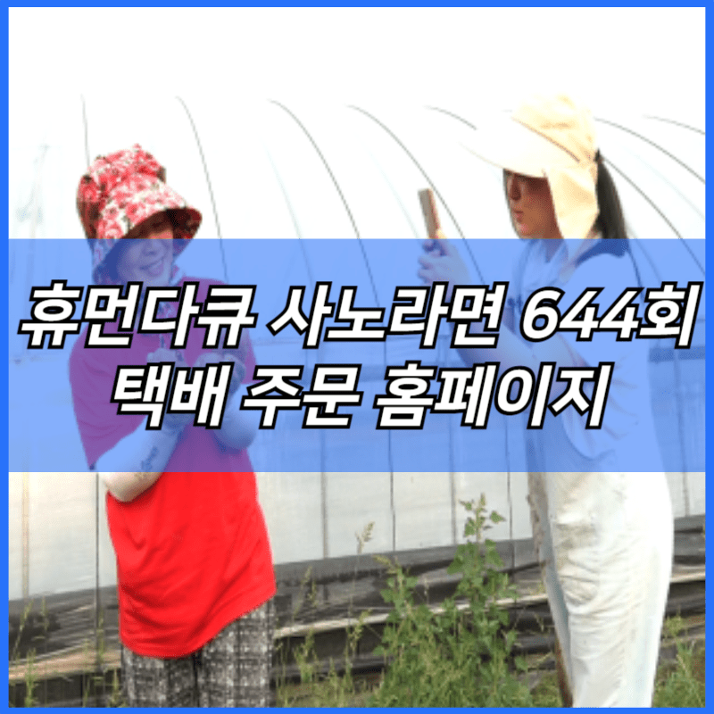 휴먼다큐 사노라면 감자