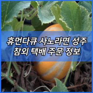 휴먼다큐 사노라면 성주 참외