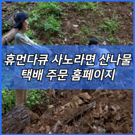 휴먼다큐 사노라면 산나물