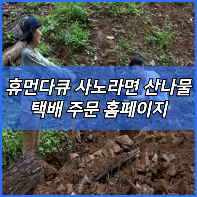 휴먼다큐 사노라면 산나물