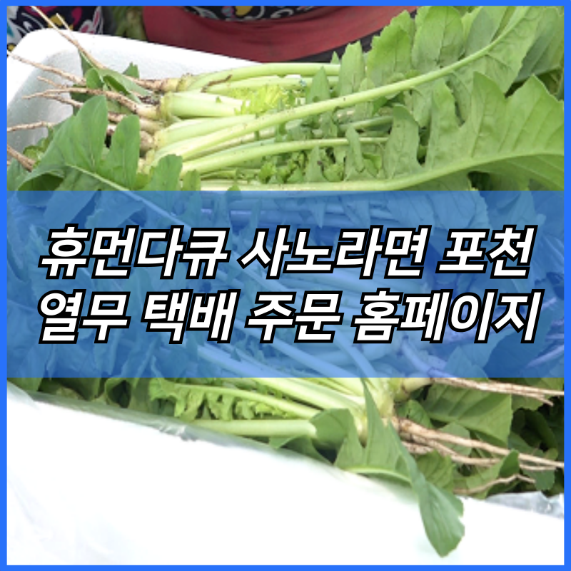 휴먼다큐 사노라면 포천 열무