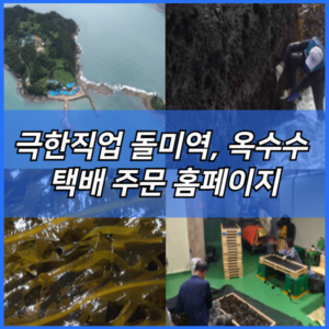 극한직업 자연산 돌미역