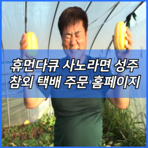 휴먼다큐 사노라면 성주 참외