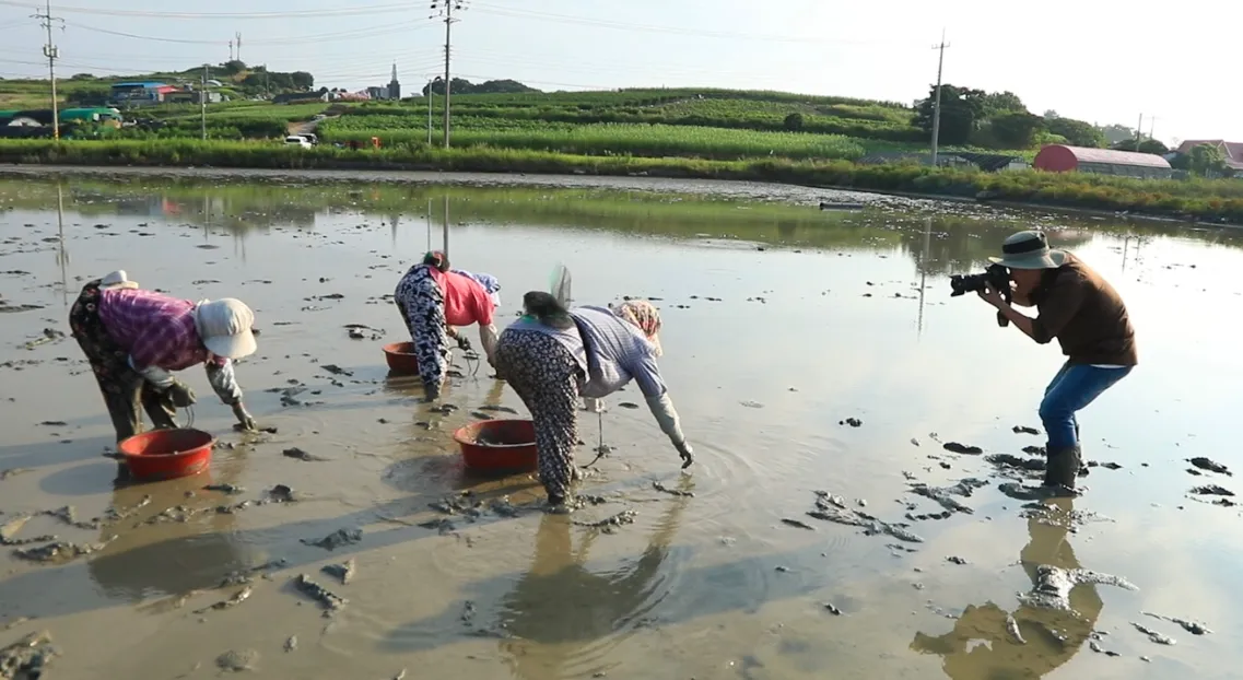 한국기행 여수 간장게장