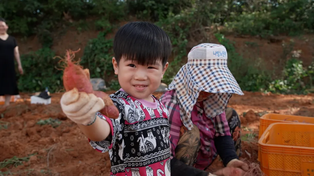 한국기행 다산 밥상