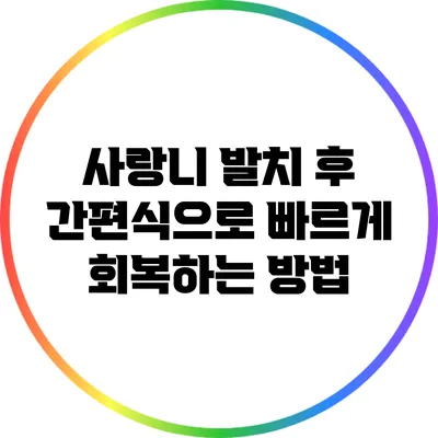 사랑니 발치 후 간편식으로 빠르게 회복하는 방법