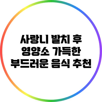 사랑니 발치 후 영양소 가득한 부드러운 음식 추천