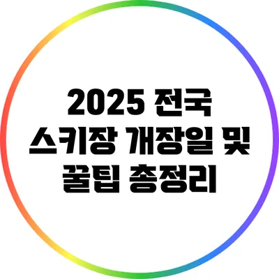 2025 전국 스키장 개장일 및 꿀팁 총정리