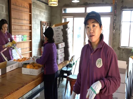 휴먼다큐 사노라면 제주 귤