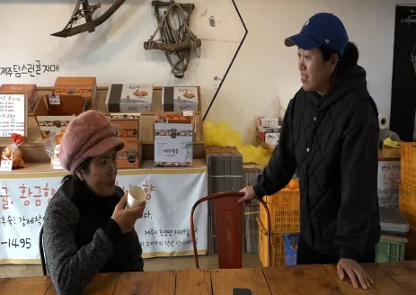 휴먼다큐 사노라면 제주 귤