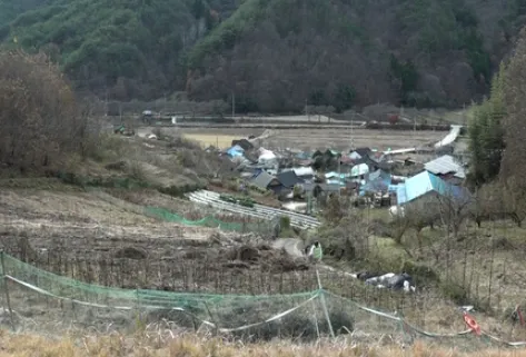 휴먼다큐 사노라면 대봉 감