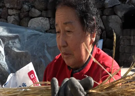 휴먼다큐 사노라면 배추전