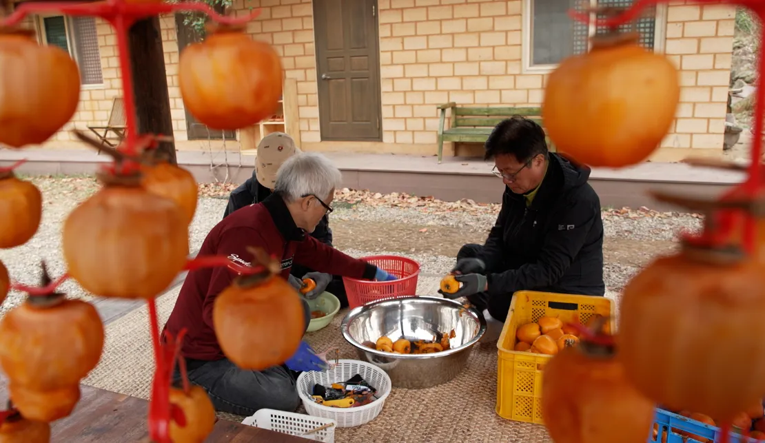 한국기행 톳