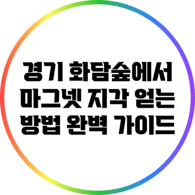경기 화담숲에서 마그넷 지각 얻는 방법 완벽 가이드