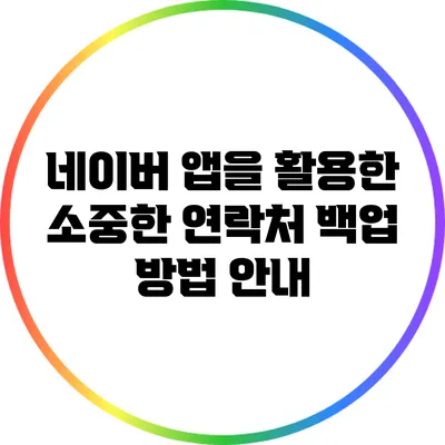 네이버 앱을 활용한 소중한 연락처 백업 방법 안내